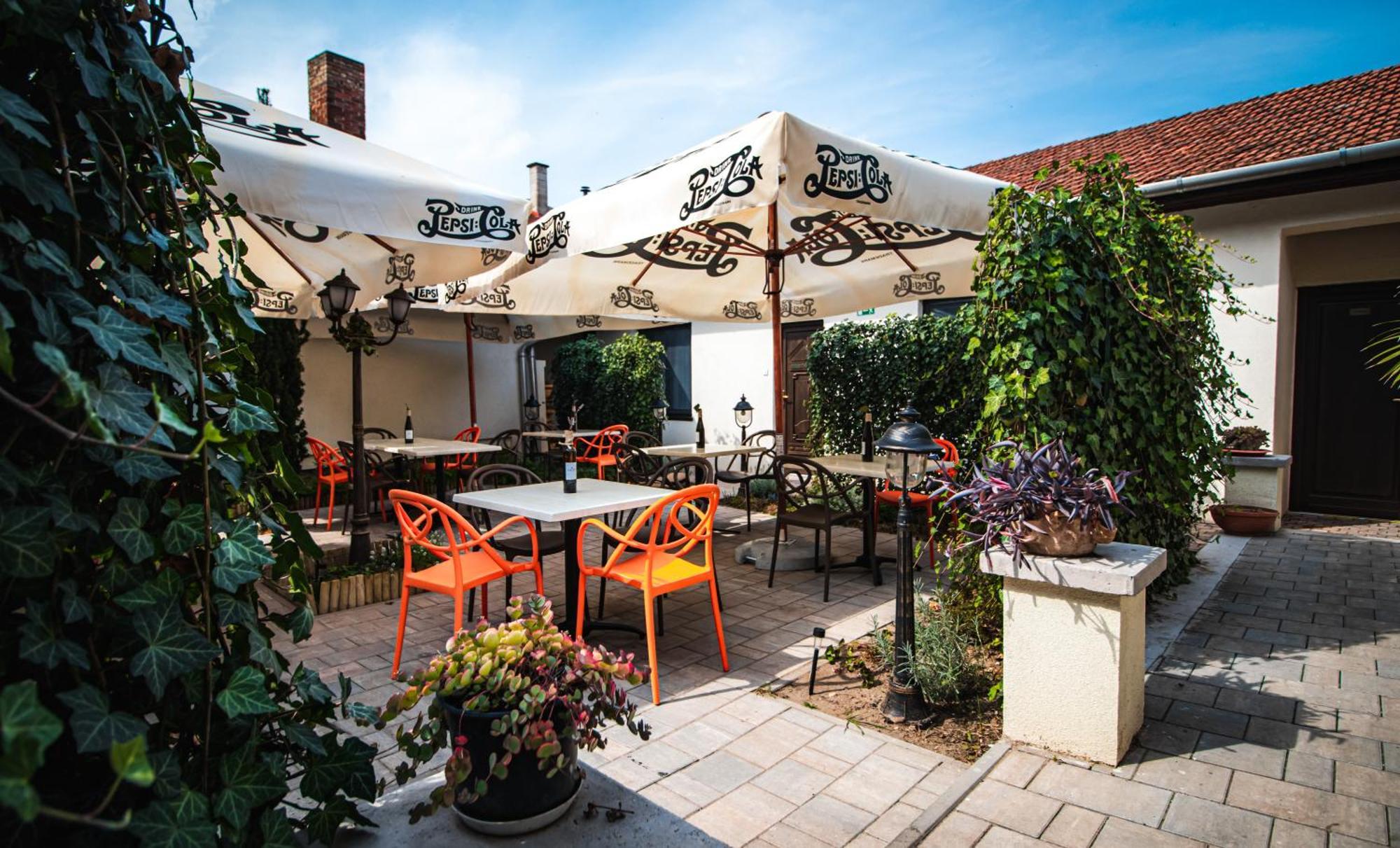 Fakapu Pince Es Panzio Bed and Breakfast Tokaj Εξωτερικό φωτογραφία